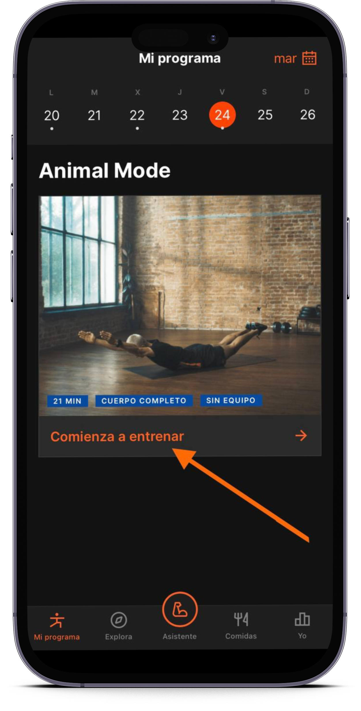 smartmockups_lntw31ep.png